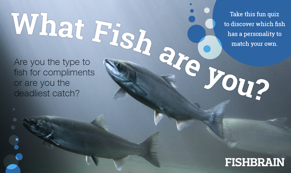 Which fish are you?